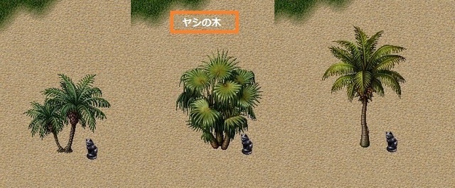 ヤシの木.jpg